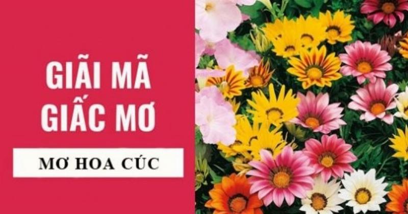 Mơ thấy hoa nở trên cây sung túc