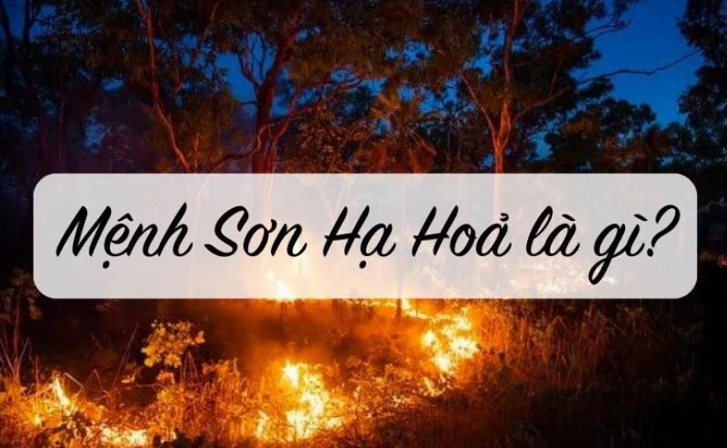 Sinh năm 2016 mệnh Hỏa - Sơn Hạ Hỏa