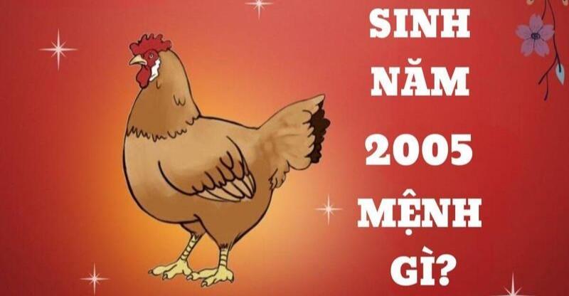 Sự nghiệp tuổi Ất Dậu 2005