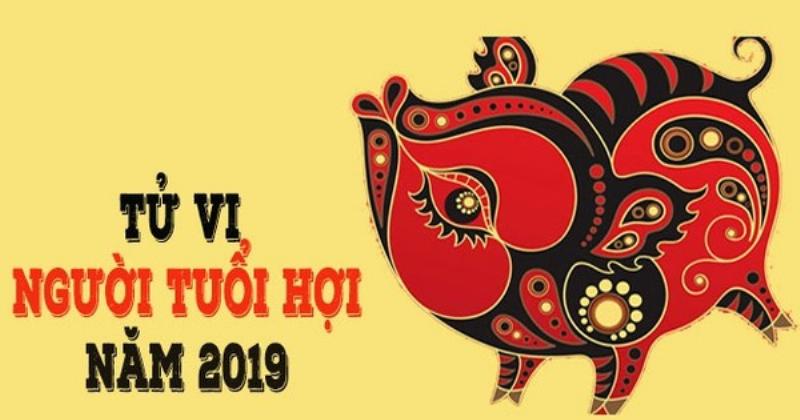 Tổng quan tử vi Tân Hợi 2019