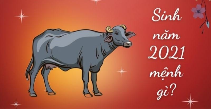 Tử Vi Ất Sửu 2021 Nam Mạng: Công Việc