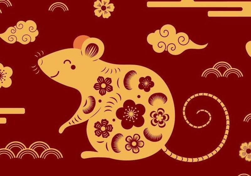 Tử vi Canh Tý 2020 nữ mạng tài lộc