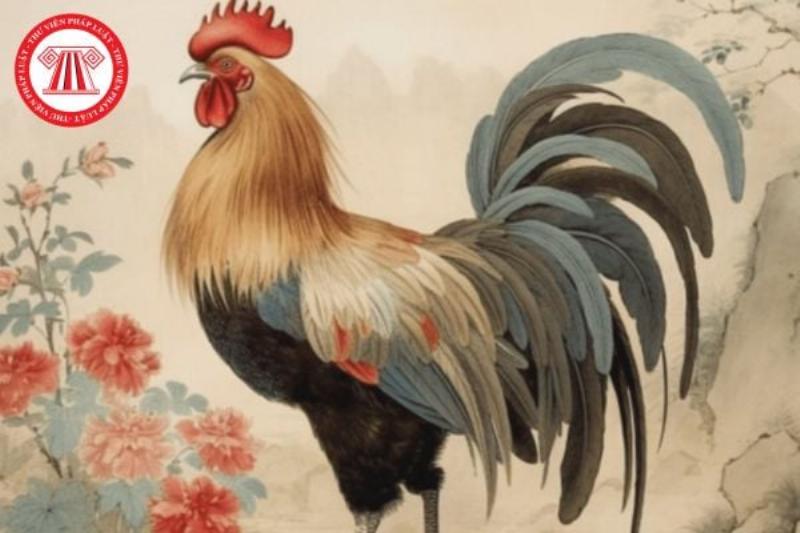 Tử Vi Sức Khỏe Kỷ Dậu 1969 Nữ Mạng