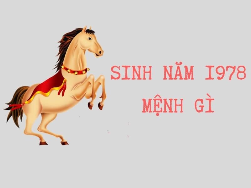 Tử Vi Mậu Ngọ và Phong Thủy