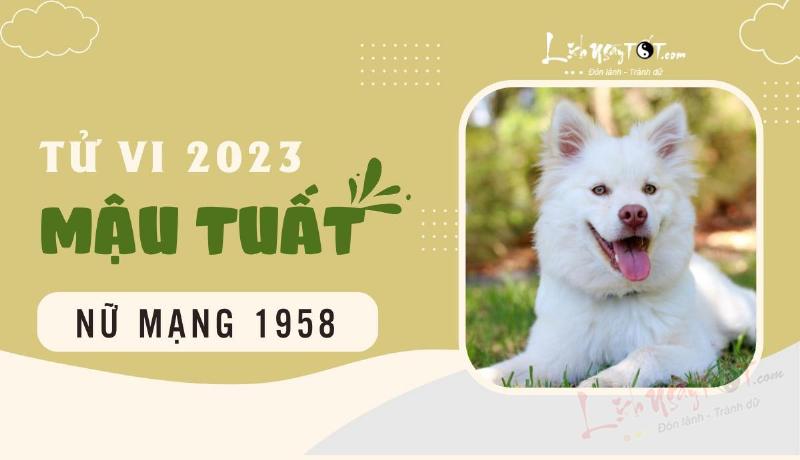 Tử vi Mậu Tuất 2023 nữ mạng tổng quan