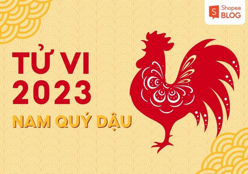 Tử vi tổng quan Quý Dậu 2023 nam mạng