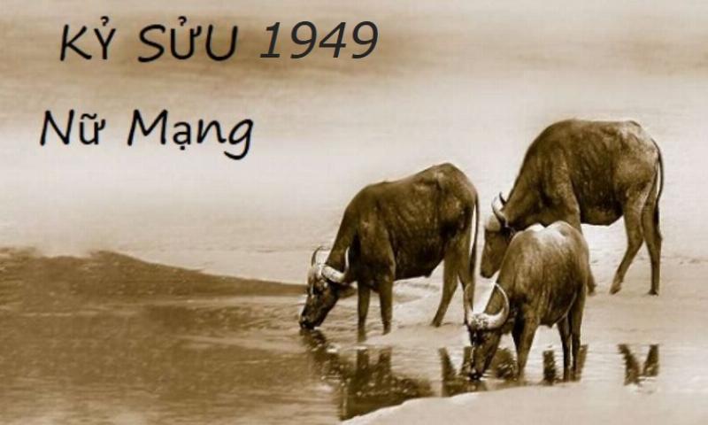 Tử vi sức khỏe tuổi Kỷ Sửu 1949 nữ mạng năm 2021