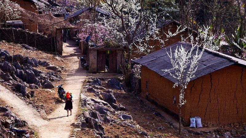 Cảnh đẹp trên đường đi Hà Giang