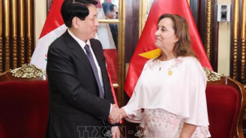 Nằm mơ thấy chó đen cắn