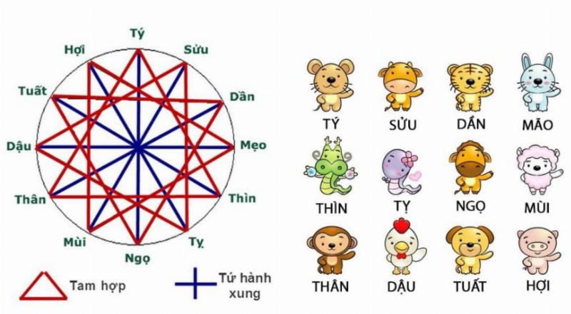 Biểu đồ Tam Hợp Tứ Hành Xung