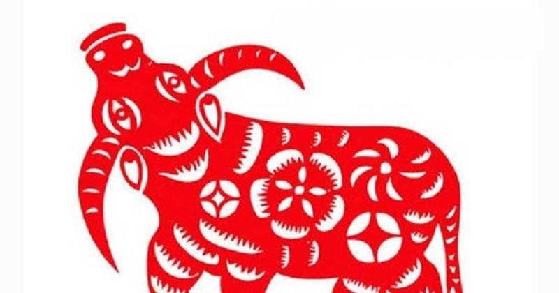 Tổng Quan Tử Vi Tuổi Sửu 1997 Năm 2021
