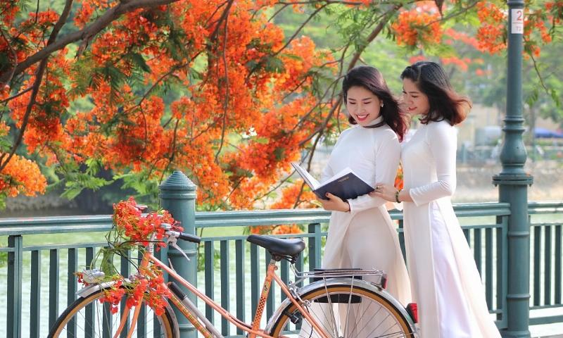 Điểm Đến Hấp Dẫn Hải Phòng