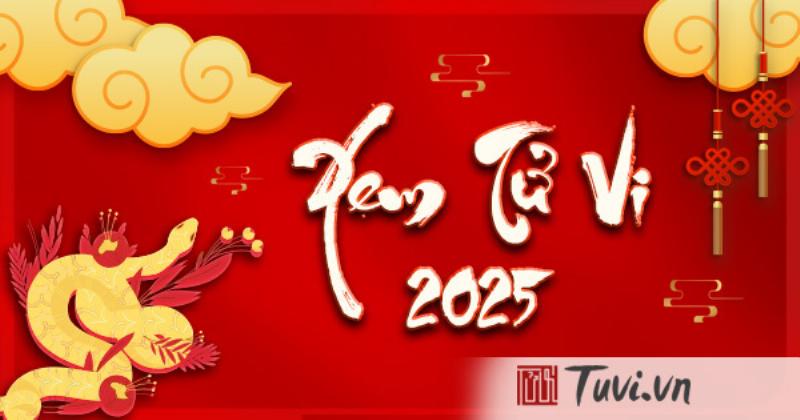 Tử Vi và Ngành Tài Chính Cho Nữ