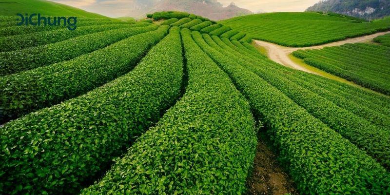 Tuyến đường Hà Nội Thái Nguyên bằng xe khách, ô tô, xe máy